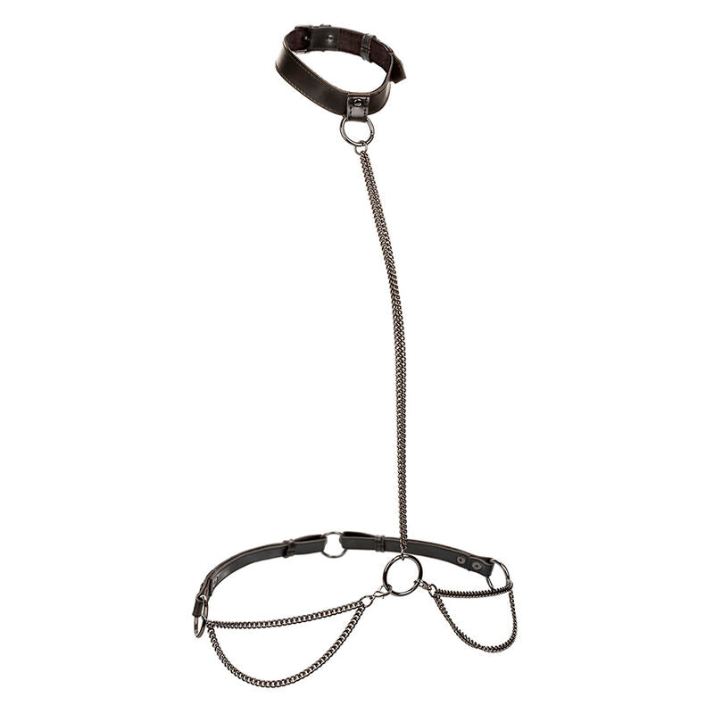 CALEXOTICS - Ошейник-недоуздок и поводок EUPHORIA с цепочкой, большие размеры