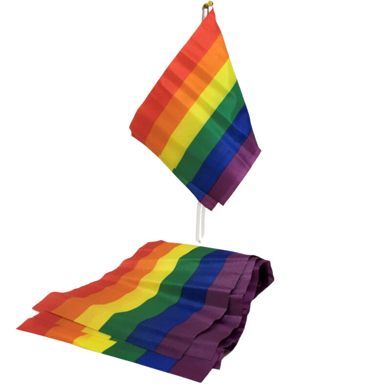 PRIDE - LGBT VLAG KLEINE VLAGBANNER