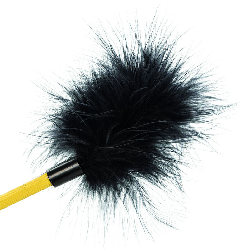 CALEXOTICS - CULTURE DE PLUMES SANS LIMITES