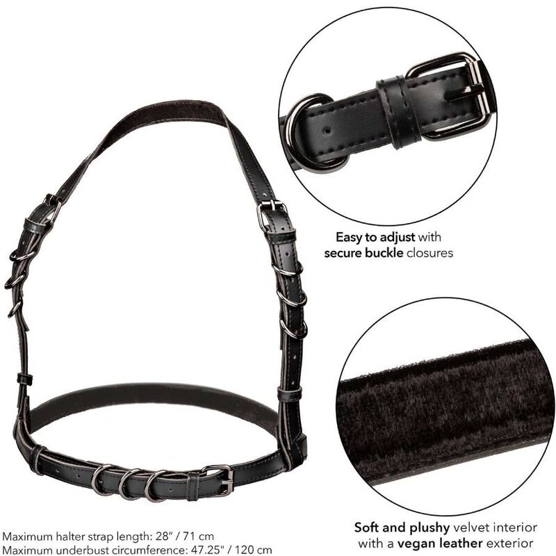 CALEXOTICS - EUPHORIA GRANDE TAILLE HARNAIS À BOUCLE NOIR