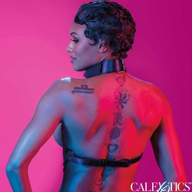 CALEXOTICS - HARNAIS À COLLIER MULTI-CHAÎNES EUPHORIA