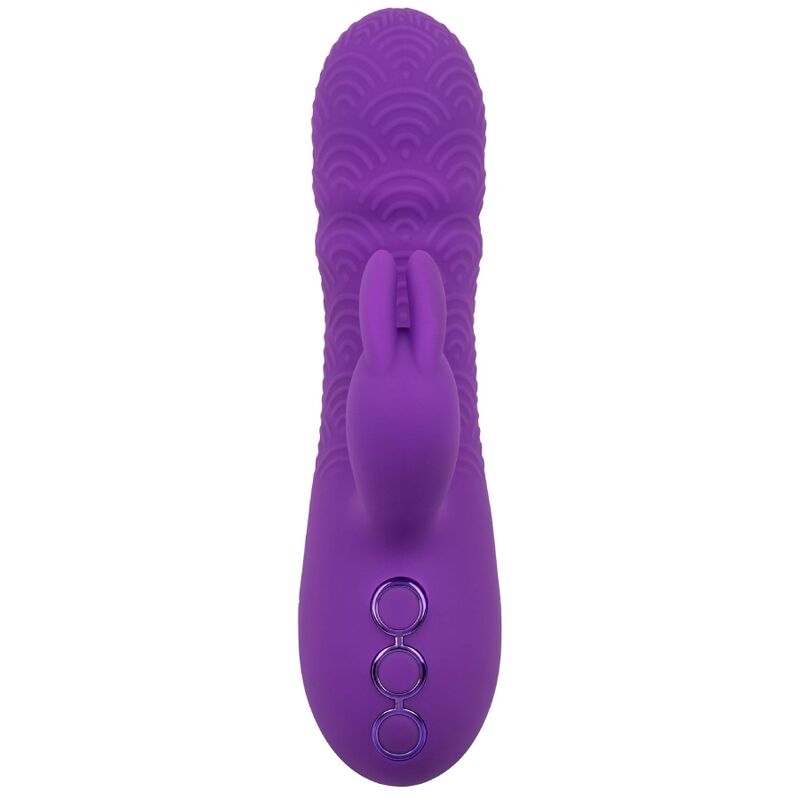 CALEXOTICS - MANHATTAN BEACH MARVEL VIBRATOR RABBIT PURPLE VAN CALIFORNIA DREAMING