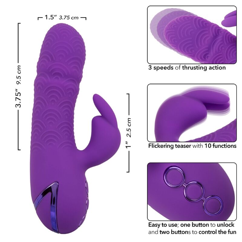 CALEXOTICS - MANHATTAN BEACH MARVEL VIBRATOR RABBIT PURPLE VAN CALIFORNIA DREAMING