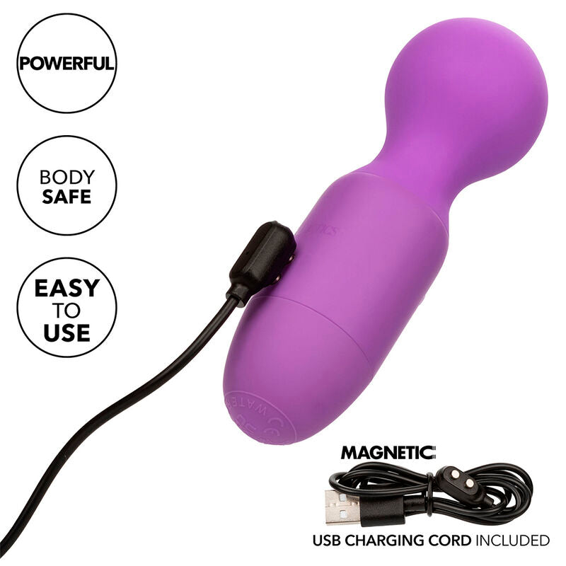 CALEXOTICS - PREMIER MASSEUR RECHARGEABLE 10 VIBRATIONS VIOLET