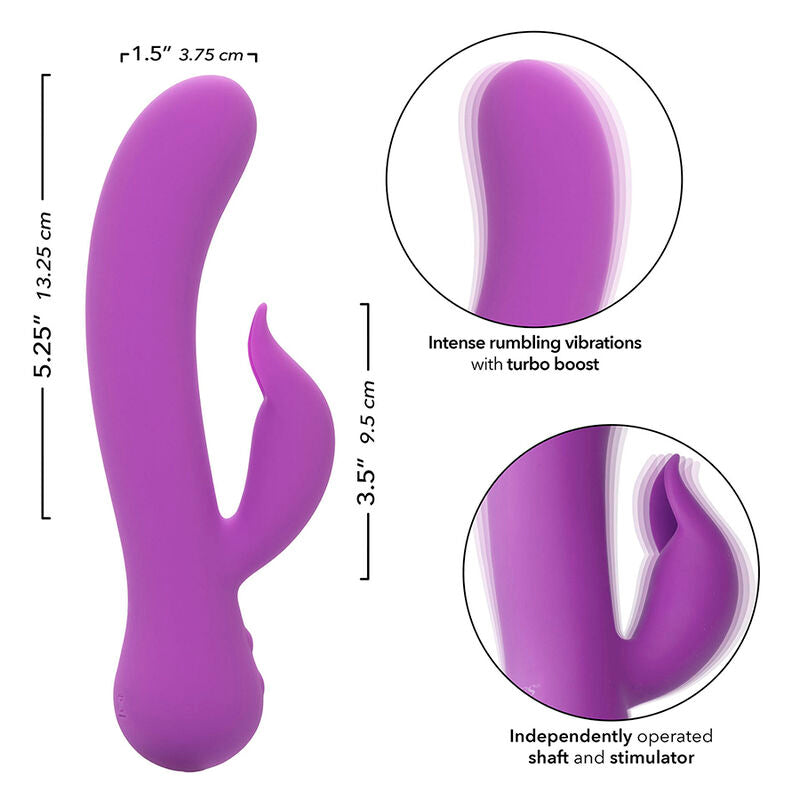 CALEXOTICS - VIBRATEUR DE PLAISIR RECHARGEABLE VIOLET POUR UNE PREMIÈRE FOIS