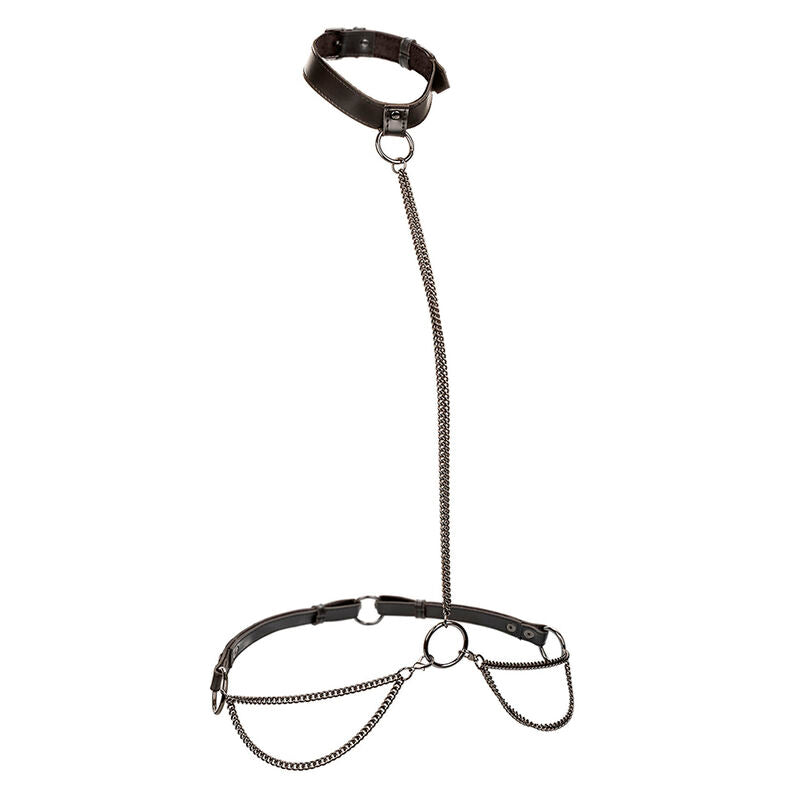 CALEXOTICS - Ошейник-недоуздок EUPHORIA с цепочкой и поводком