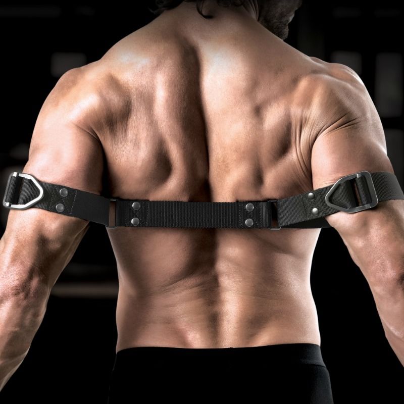 Сэр Ричардс - Мастер по сгибанию бицепсов