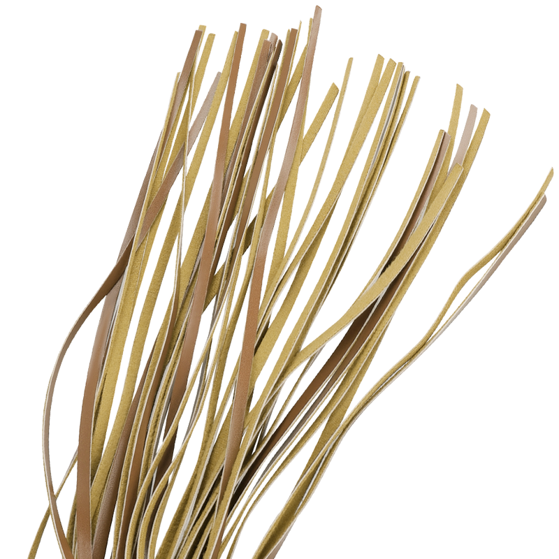 FETISH ONDERDANIGE ORIGINEEL - VEGAN LEDEREN ZWEEP